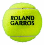 Теннисные мячи Wilson Roland Garros All Court - 3шт. (Yellow) 