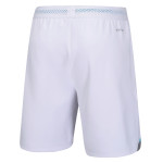 Шорты мужские Li-Ning AAPT567 (Ice Breaker White) 